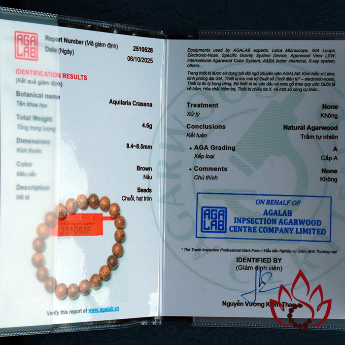 Vòng Trầm Hương Hạt Tròn | 8 ly | Trầm Tốc Kiến Tự Nhiên Lâu Năm